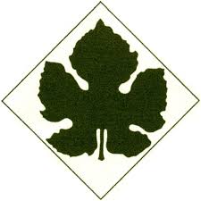 Maccario Dringenberg